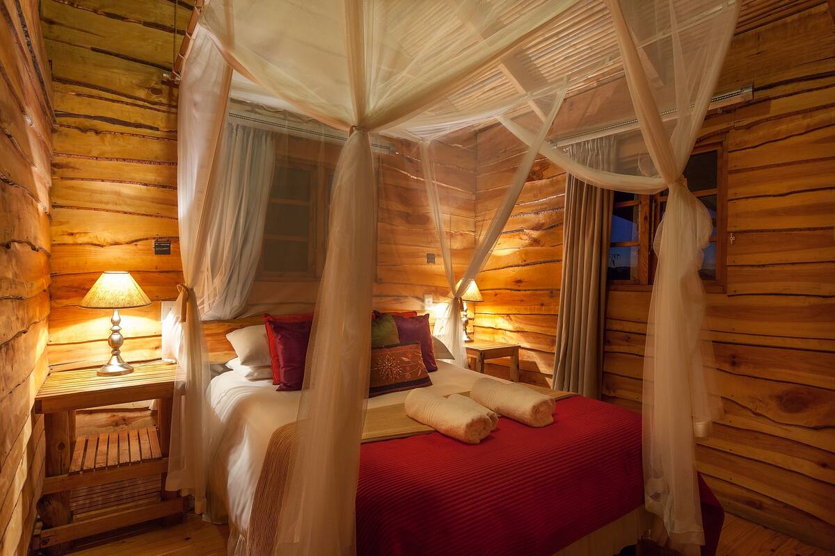 Una habitación de cabaña de madera con una cama, una mesita de noche, una lámpara y una ventana con cortinas.