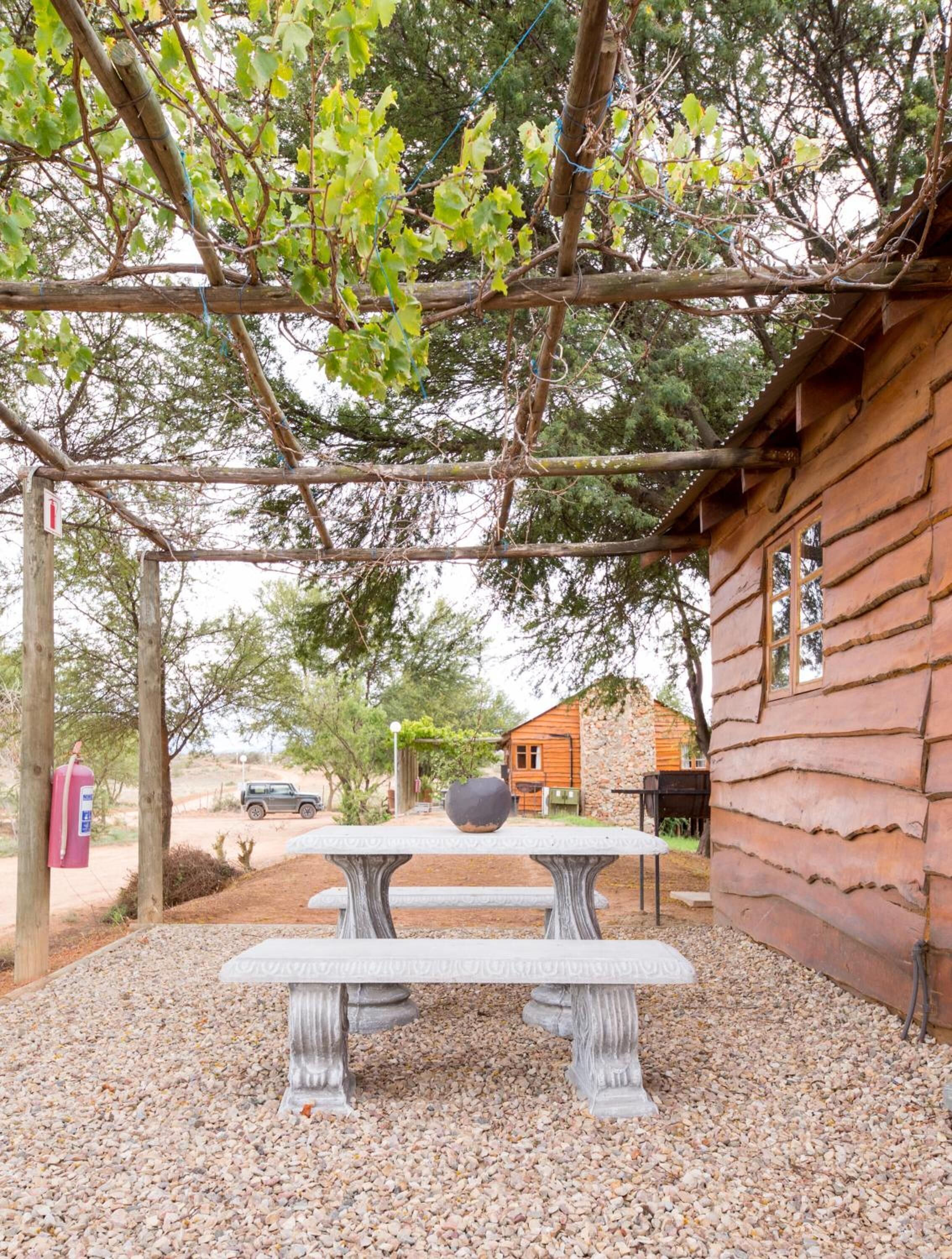 A rustic wooden cabin with a stone foundation, a pergola with climbing vines, and a stone bench with a large bowl.