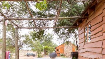 A rustic wooden cabin with a stone foundation, a pergola with climbing vines, and a stone bench with a large bowl.