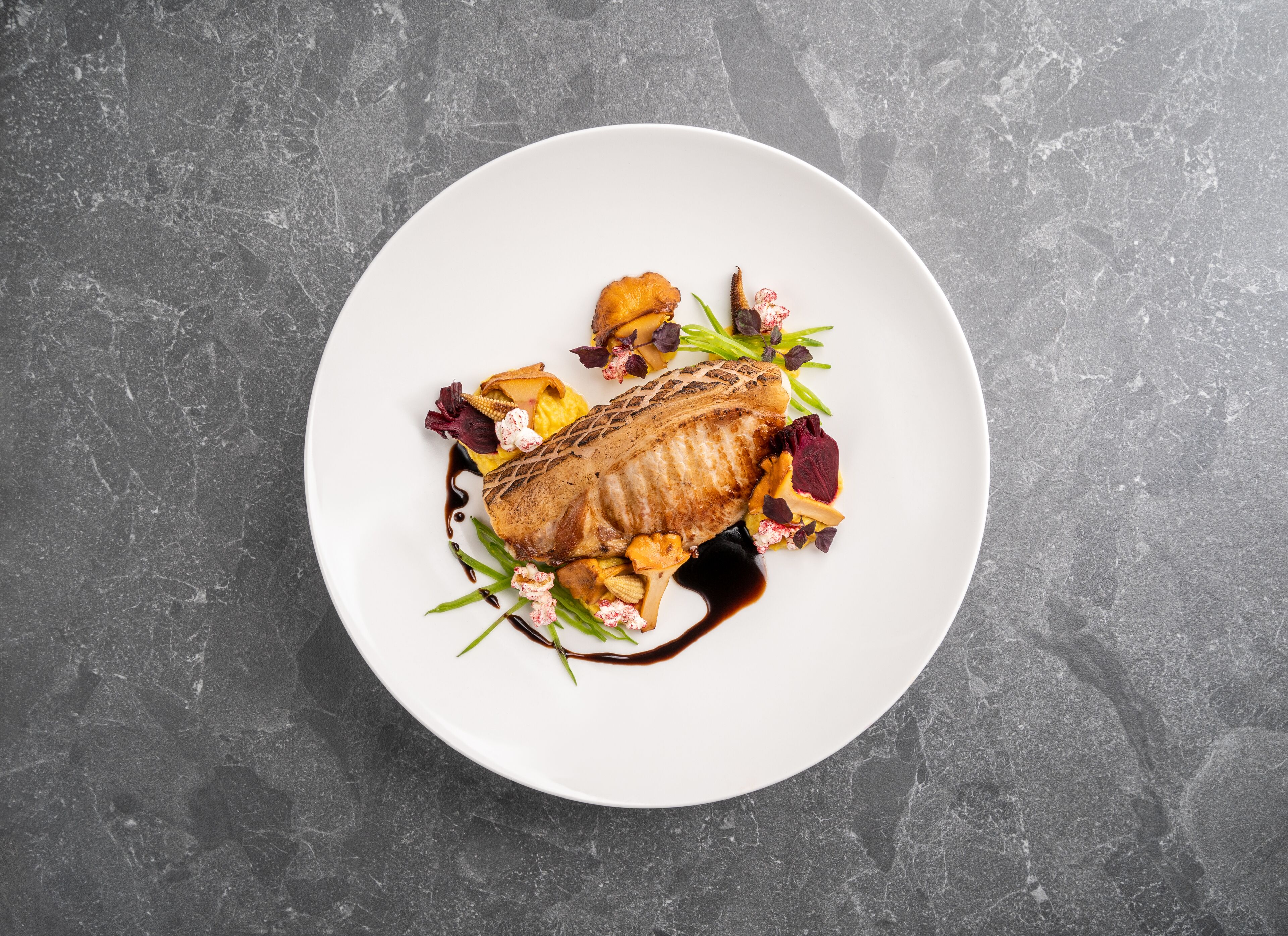 A white plate with a piece of meat, vegetables, and sauce on a textured gray surface.
