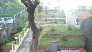 Een reeks buiten trappen die leiden naar een grasveld, met een boom op de voorgrond.