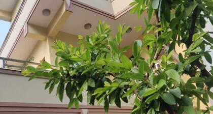 Samakhusi Deluxe Apartment