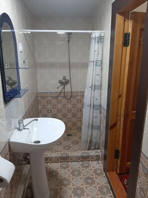 Habitación estándar doble | Servicios del cuarto de baño | Ducha y cabezal de ducha tipo lluvia