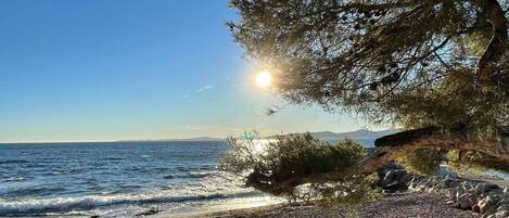 在海滩