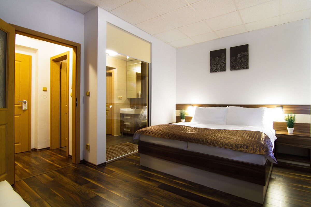 Une chambre d’hôtel avec un lit, un plancher en bois, une porte donnant sur une salle de bain et une petite table de chevet agrémentée d’une plante.