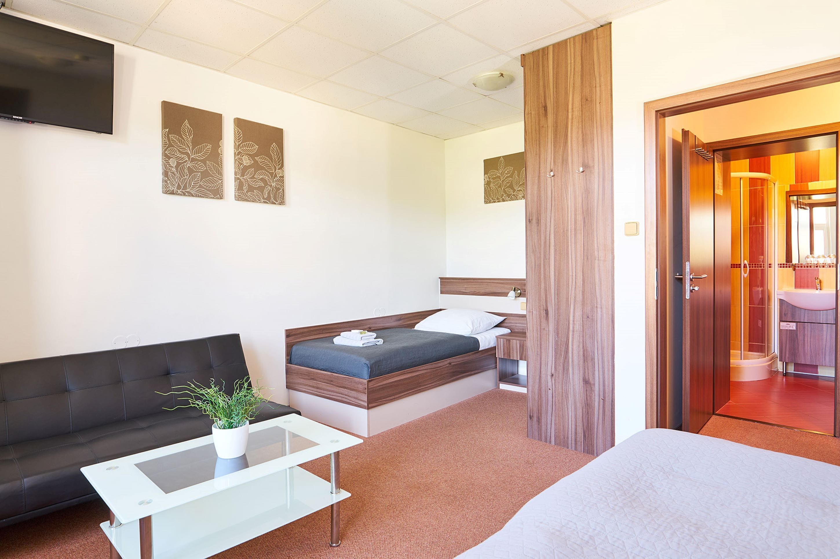 A hotel room with a bed, a sofa, a small table, and a TV.