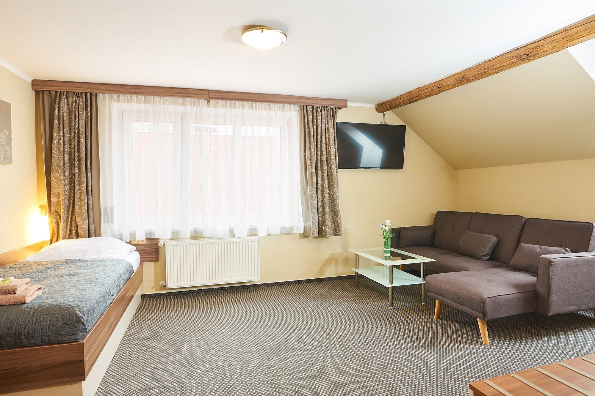 A room with a bed, a sofa, a TV, and a radiator.