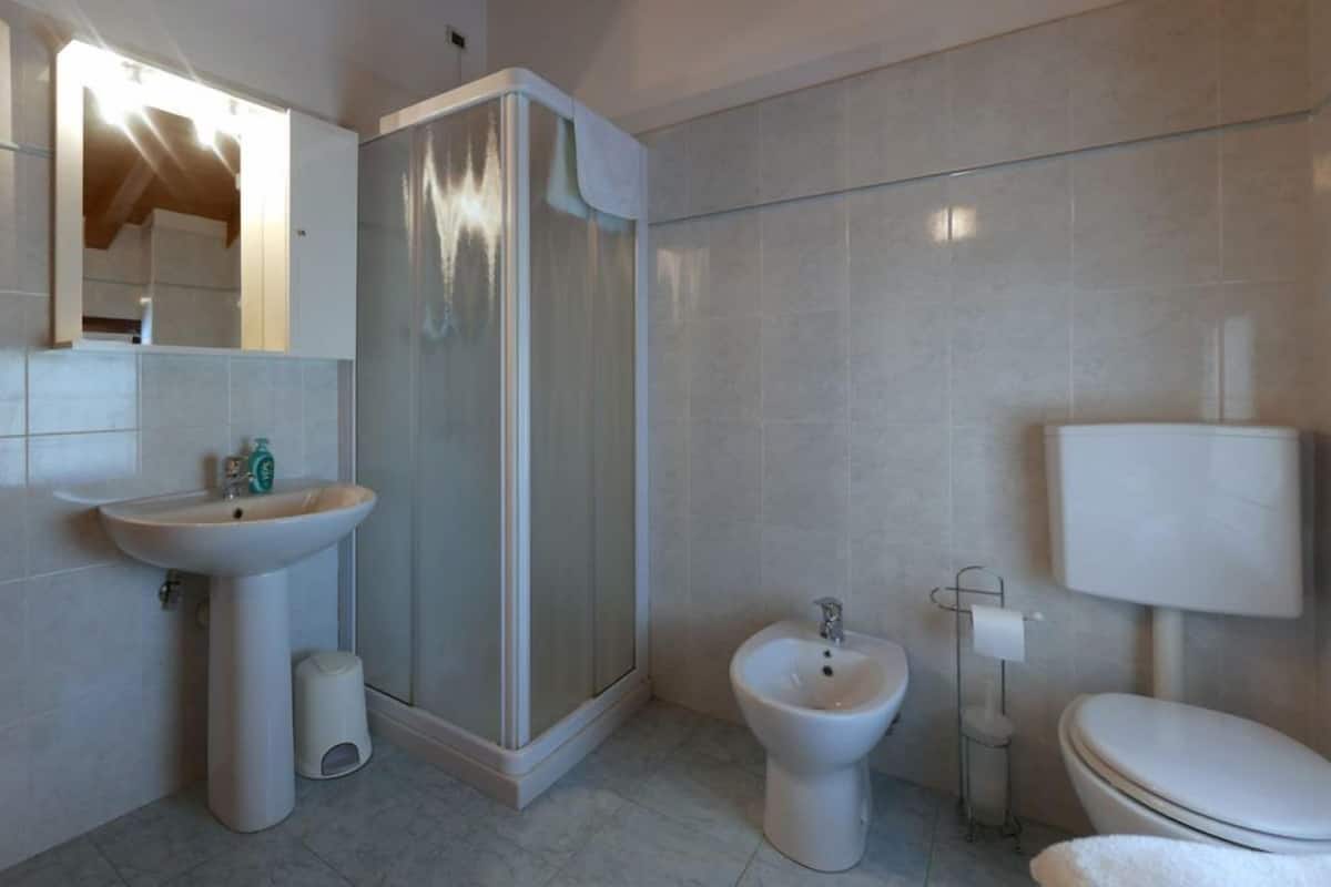 Shower, hair dryer, bidet, towels
