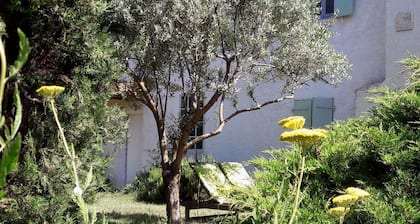 Chambres d'hotes A l'Ombre du Saule