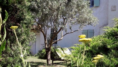 Chambres d'hotes A l'Ombre du Saule