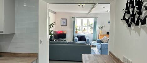 Smart TV, DVD player, books