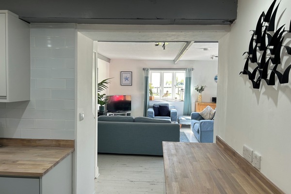 Una Smart TV, un reproductor de DVD, libros