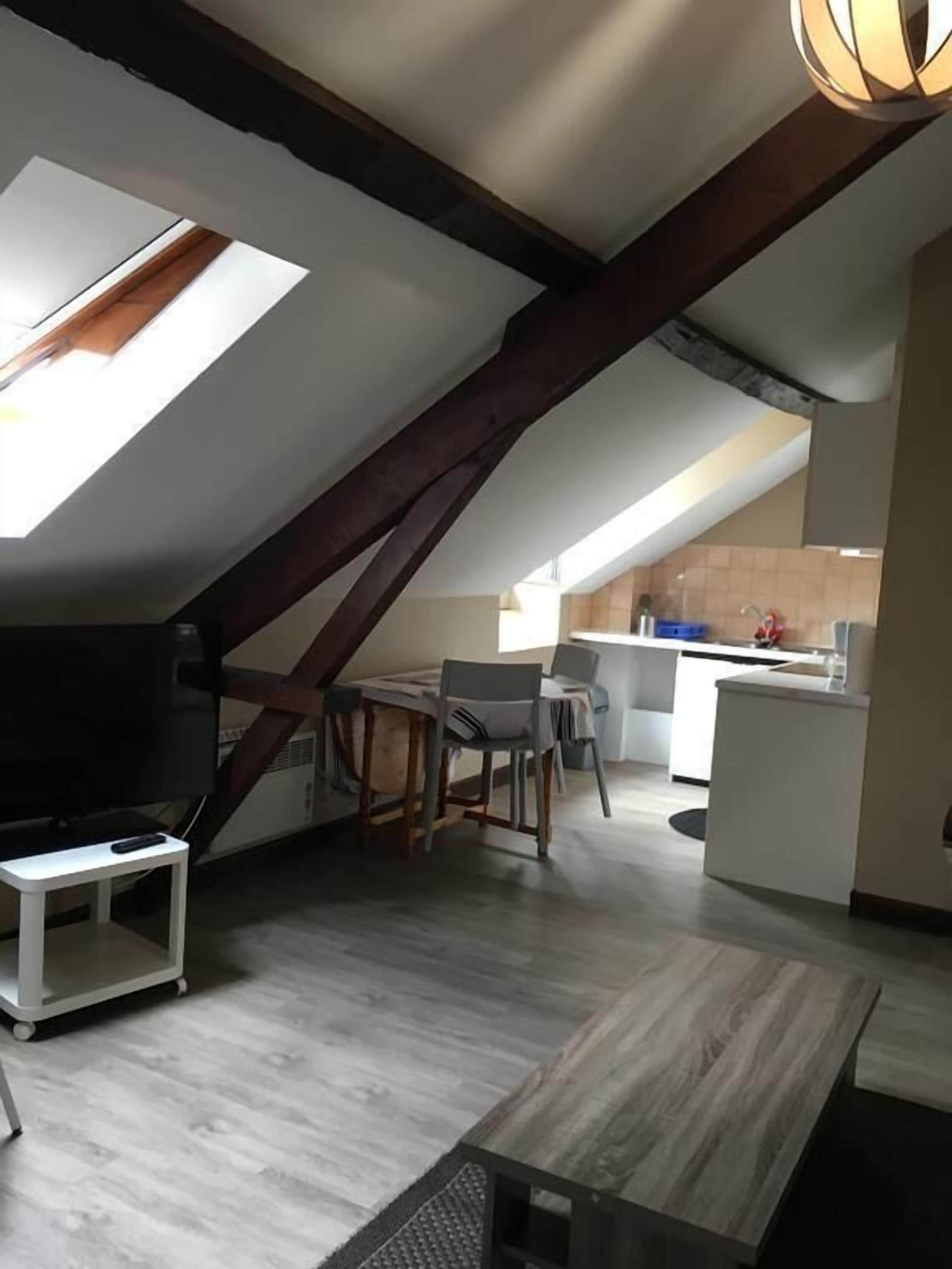 A modern loft apartment with a dining area, kitchen, and a large skylight.