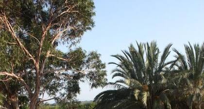 Hotel Casa Ceremines