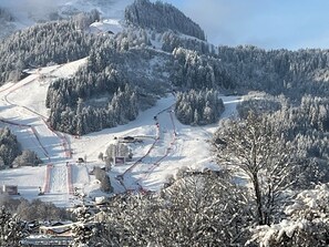 View from room - Appartement Aschbach (Kitzbuhel)