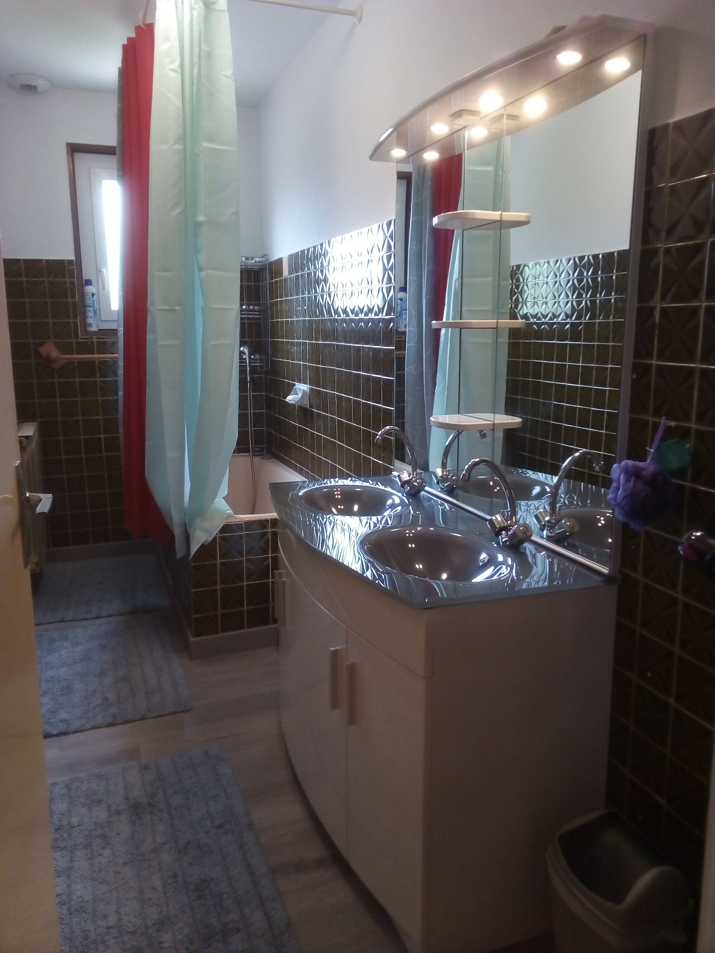 Badewanne, Haartrockner, Toilettenpapier