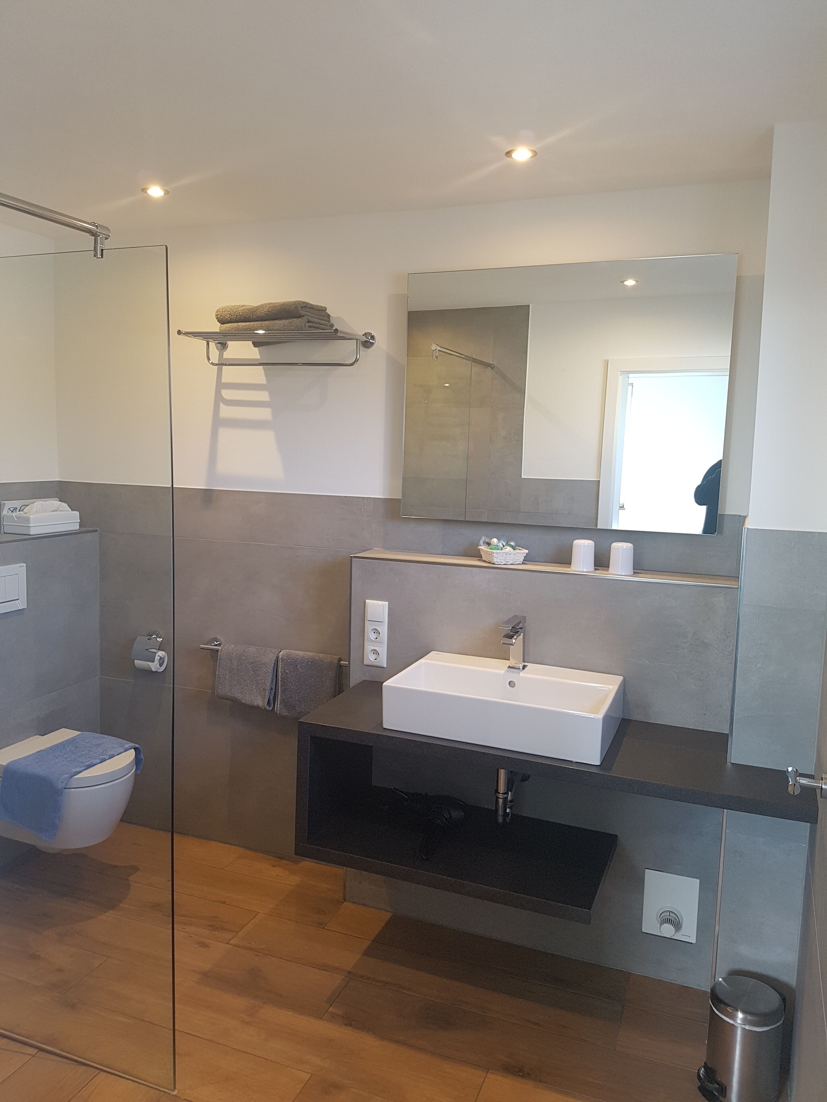 Standard-Doppelzimmer | Badezimmer | Dusche, kostenlose Toilettenartikel, Haartrockner, Handtücher
