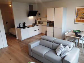 TV, DVD player, video library - Antwerp City Center Flat (Borgerhout)