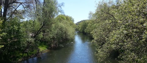 Rowing