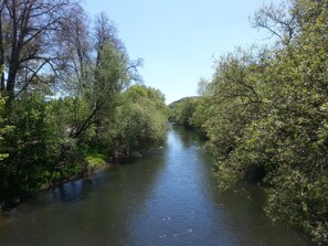 A river flanked by dense trees and a clear sky. - Bürgerhaus Zum Paradies - Pension (Wasungen)