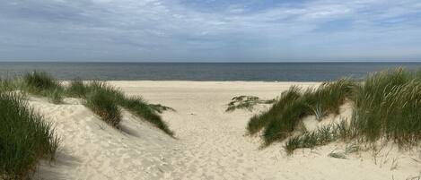 Plage à proximité