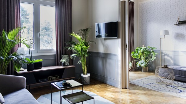 Uma sala de estar moderna com sofá, mesa de centro e plantas em vasos.