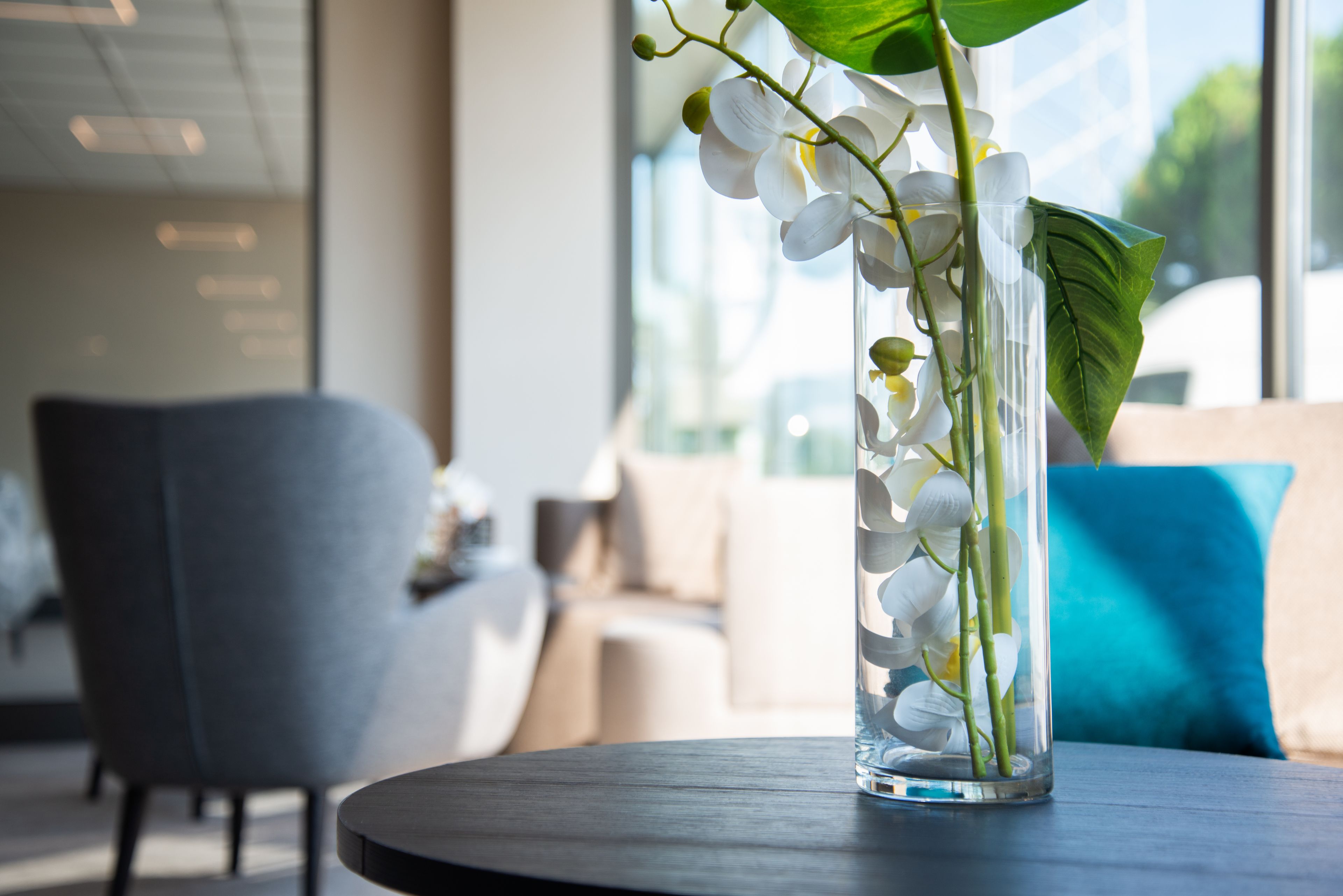 Foto - DC Hotel International