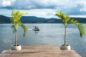 Un muelle de madera con dos palmeras en macetas, una masa de agua y una vista distante de un paisaje montañoso bajo un cielo nublado.