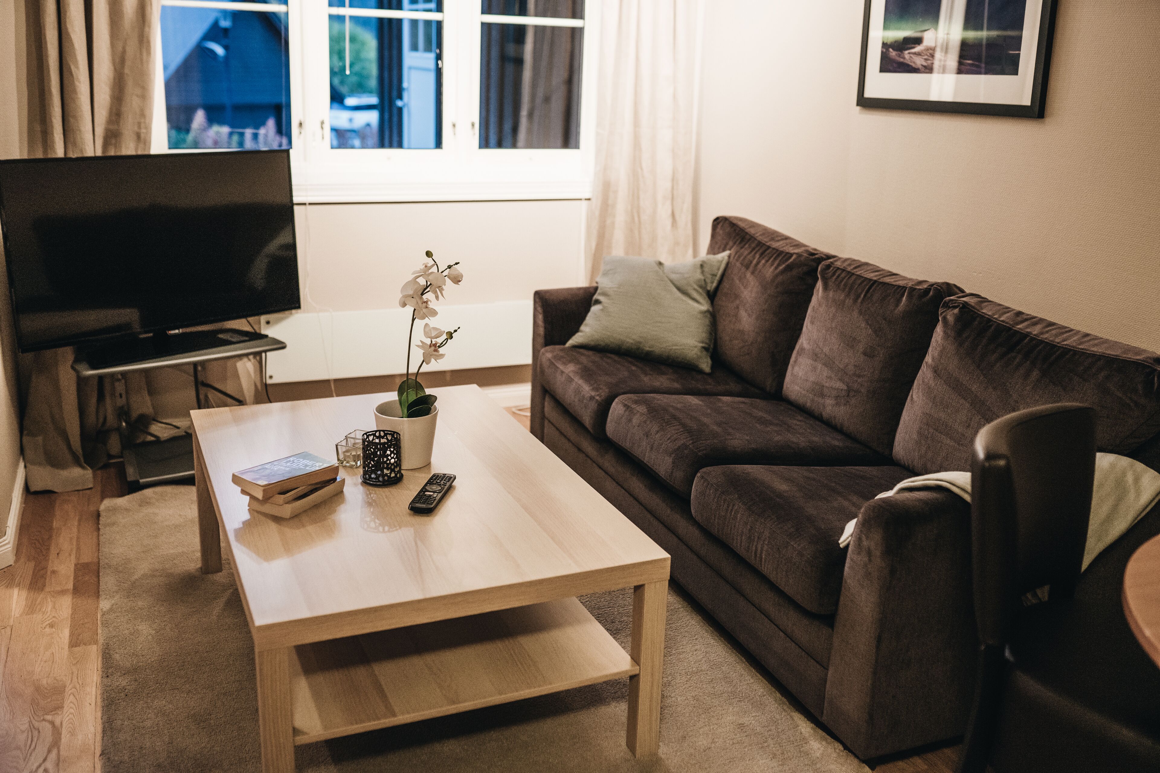 A living room with a TV, a coffee table with books and a plant, a brown sofa, and a window with curtains.