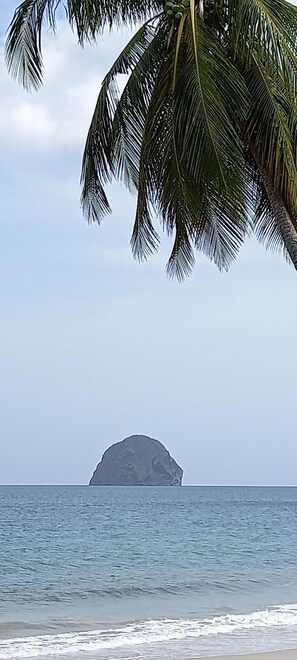 بالقرب من الشاطئ، مناش�ف للشاطئ