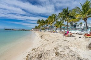 Camastros y toallas de playa 