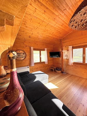 Una televisión, libros