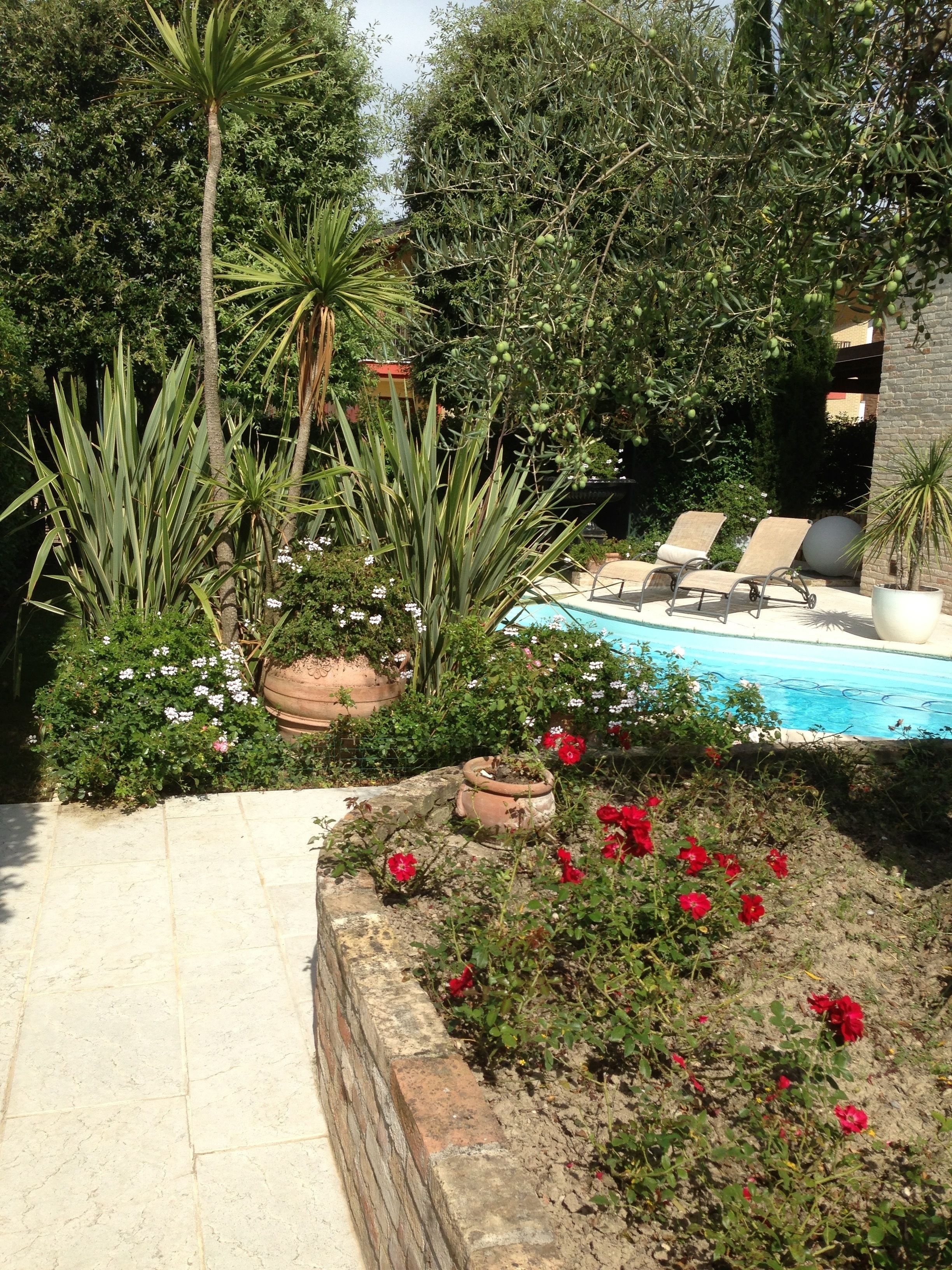 Um jardim com piscina, plantas em vasos e um muro de tijolos.