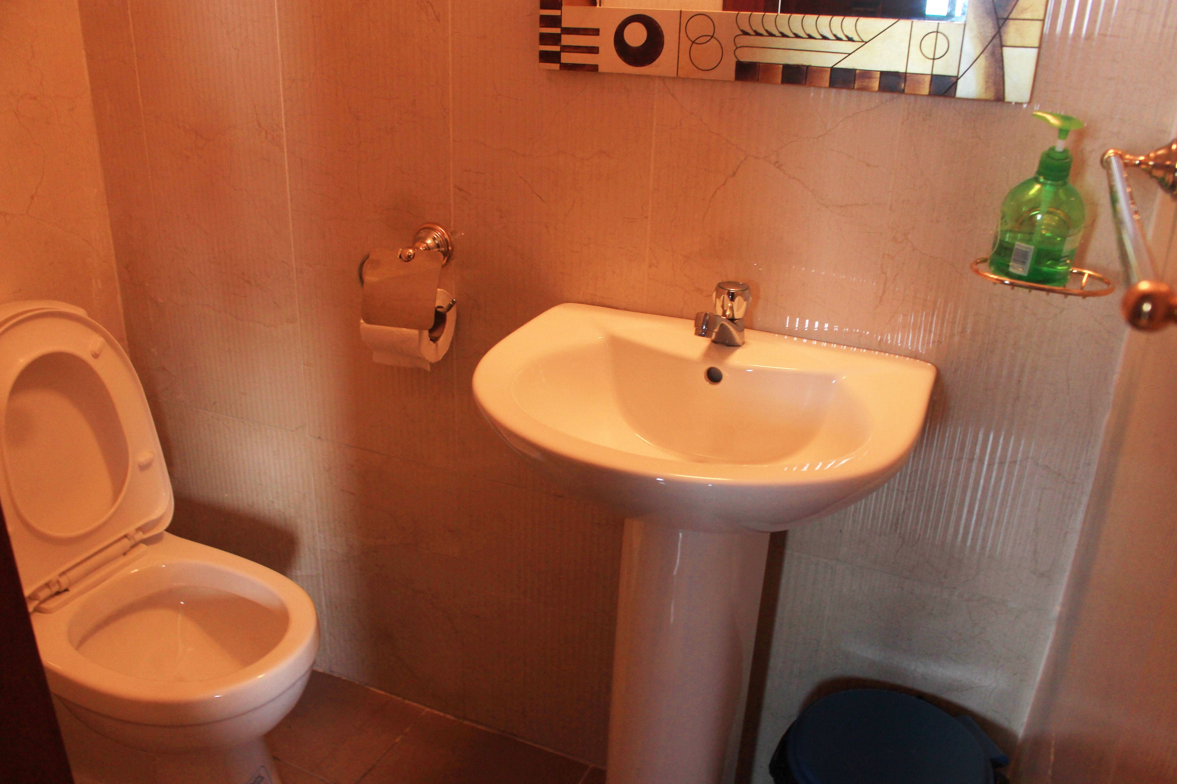 Ein Badezimmer mit Toilette, Waschbecken und einer Seifenspender auf einem Regal.