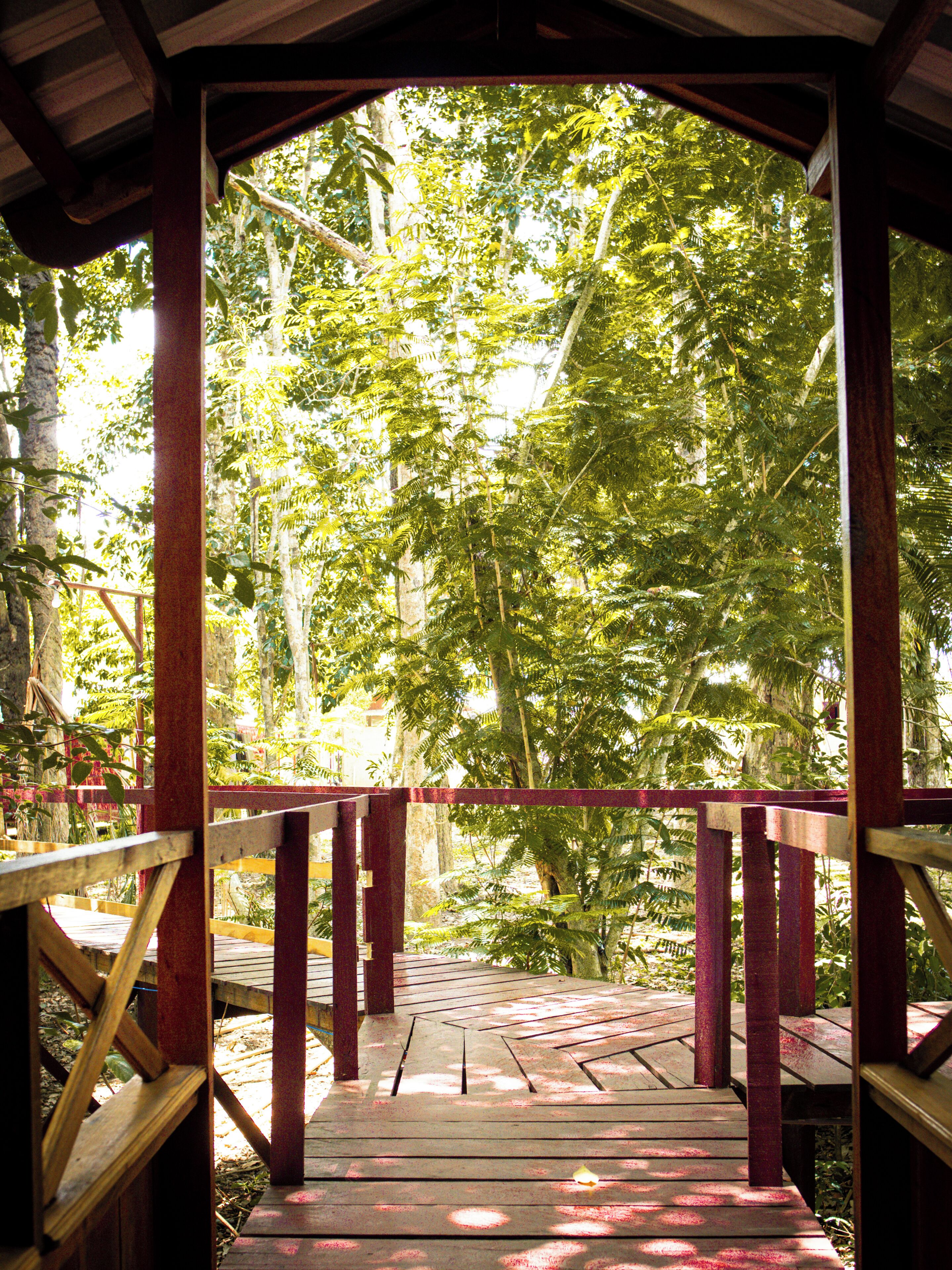A wooden deck with a view of dense forest.