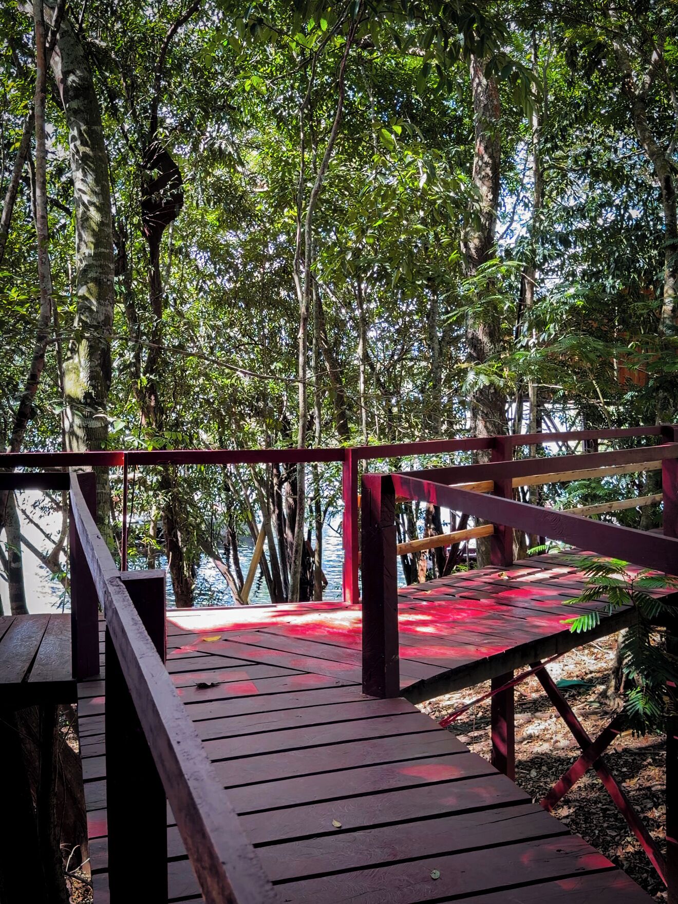 Una terraza de madera con barandillas, rodeada de follaje denso y árboles.