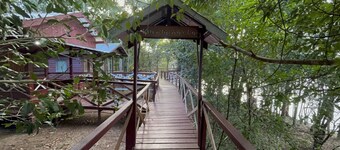 Vista do Lago Jungle Lodge