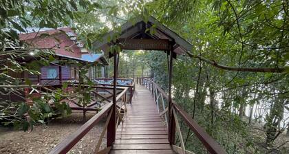 Vista do Lago Jungle Lodge