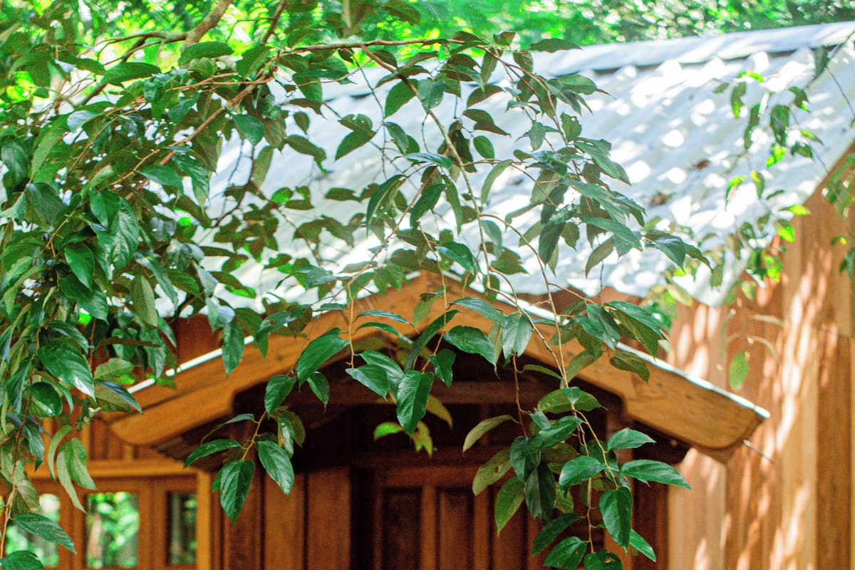 Une cabane en bois avec une véranda et une porte.