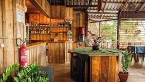 Un coin bar rustique en bois, avec des étagères remplies de bouteilles, un extincteur et des plantes en pot.
