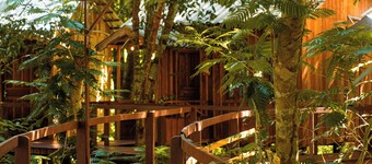 Vista do Lago Jungle Lodge