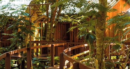 Vista do Lago Jungle Lodge