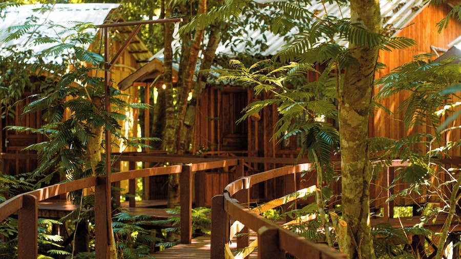 Vista do Lago Jungle Lodge