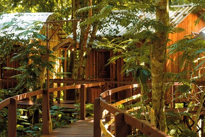 Vista do Lago Jungle Lodge