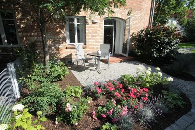 Joya Holgis a solo 200 metros de la playa