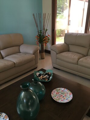 TV