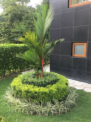 Vista frontal de la propiedad