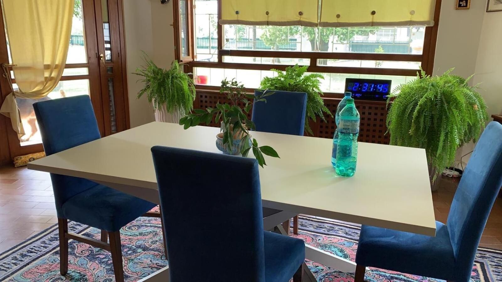 A dining area with a table, chairs, potted plants, and a digital clock.
