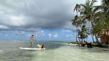 A beach scene with clear water, a person paddleboarding, and palm trees.