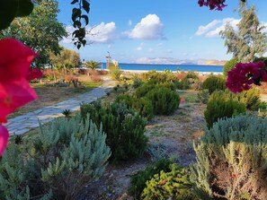 Property grounds - Beautiful beachfront property (Chora, Ios)